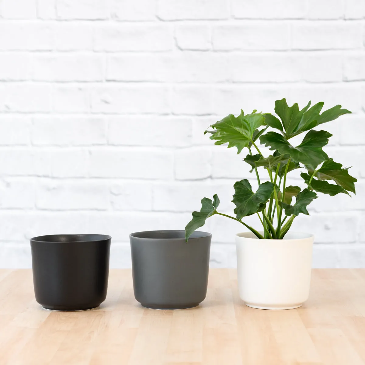 Emerson Pot - Matt Range
